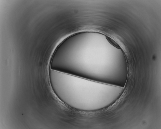 X0000098081004200804040747