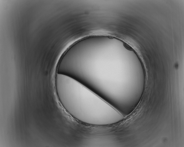 X0000098081008200804040747