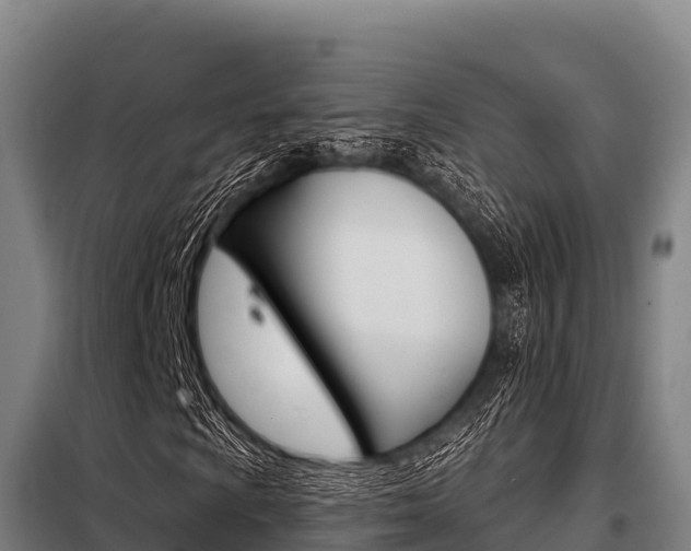 X0000098081009200804040746