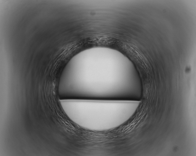 X0000098081010200804040746