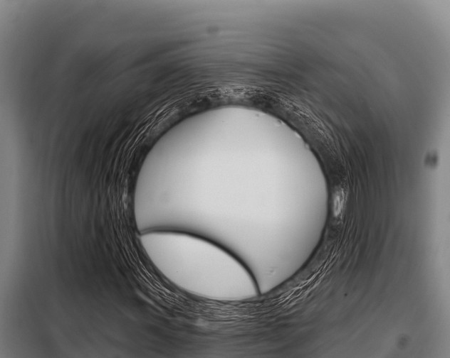 X0000098081011200804040746