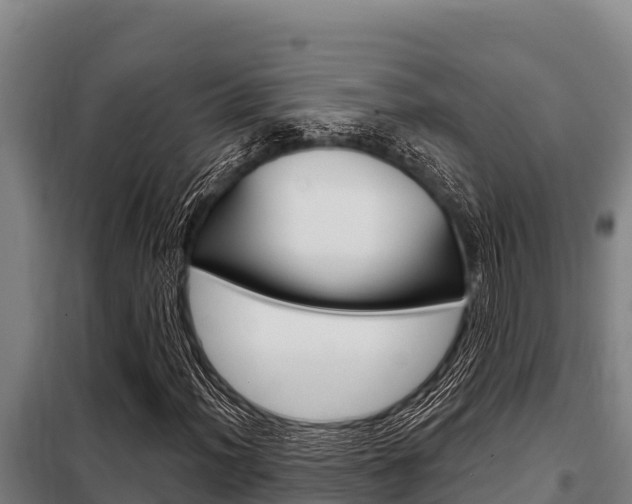 X0000098081012200804040746