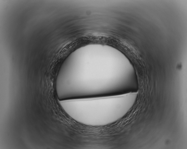 X0000098081013200804040746