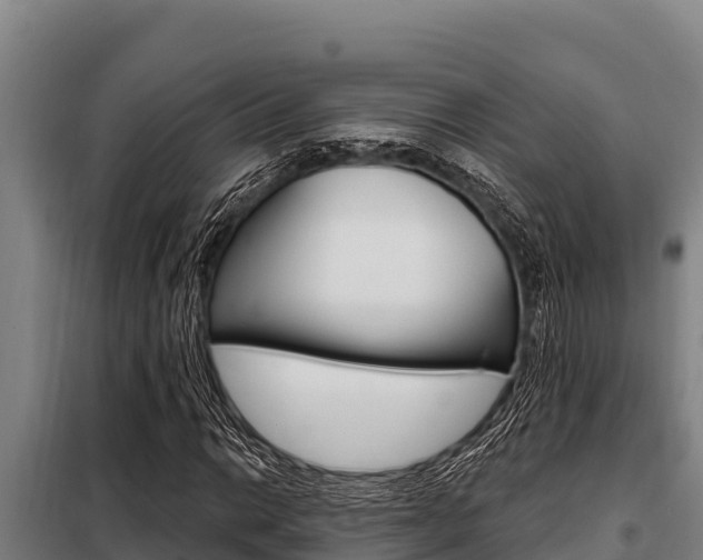 X0000098081014200804040746