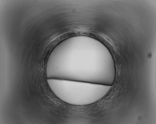 X0000098081015200804040746