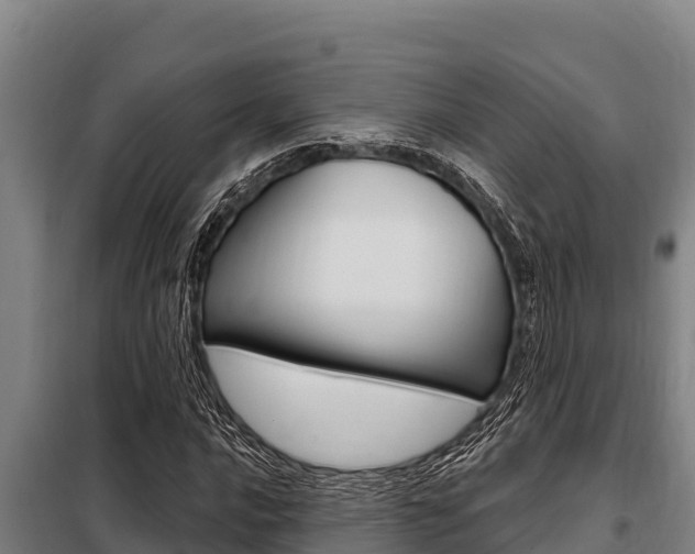 X0000098081016200804040746