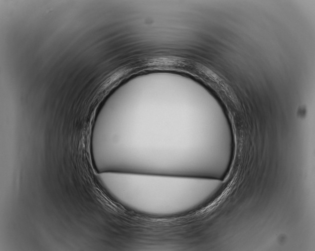 X0000098081017200804040746