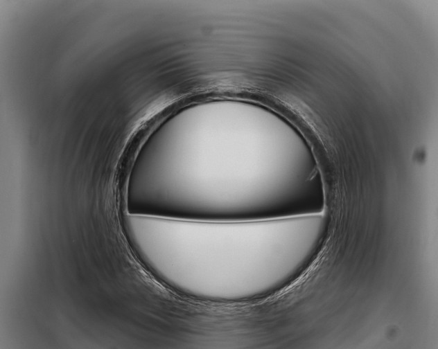 X0000098081018200804040746