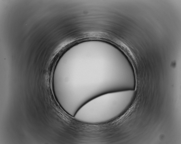 X0000098081019200804040746