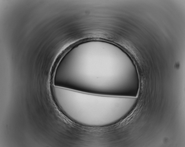 X0000098081020200804040746