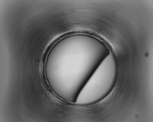 X0000098081021200804040746