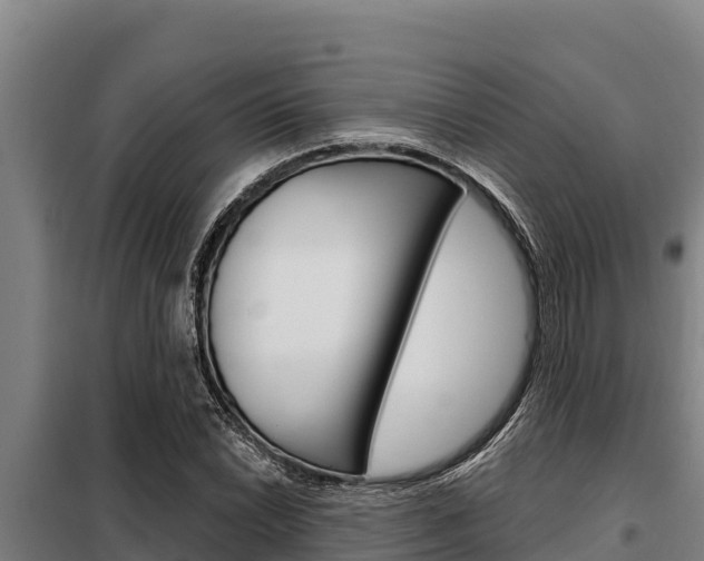 X0000098081022200804040746