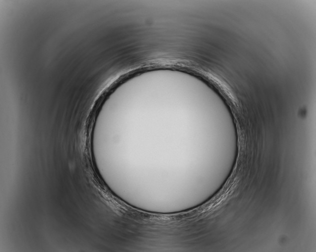 X0000098081023200804040746