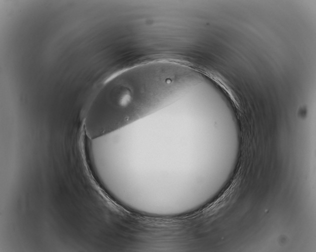 X0000098081024200804040746