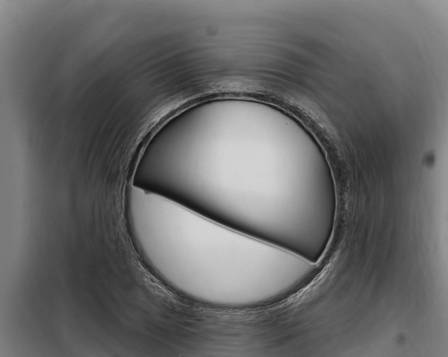 X0000098081025200804040746
