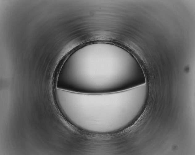 X0000098081026200804040746