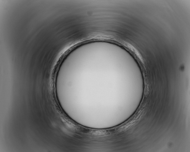 X0000098081027200804040746