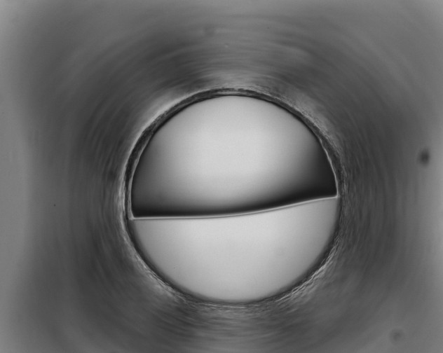 X0000098081028200804040746