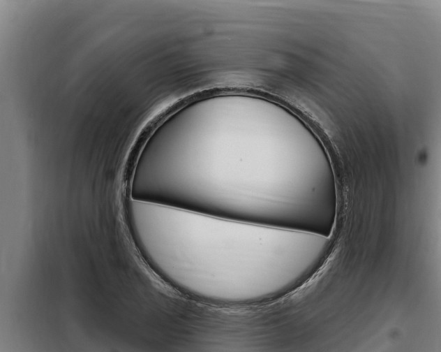 X0000098081029200804040746