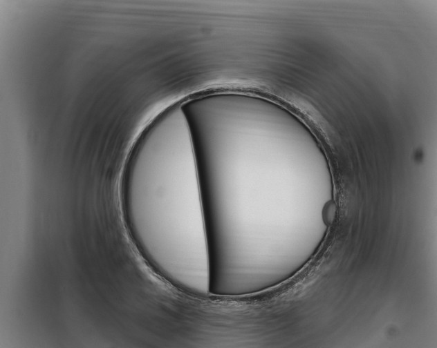 X0000098081030200804040746