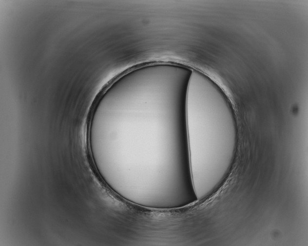 X0000098081032200804040746