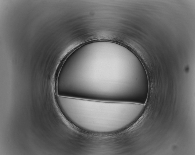 X0000098081034200804040746