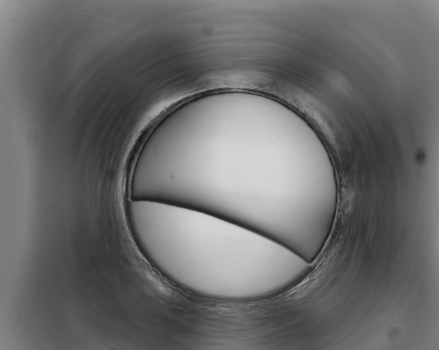 X0000098081035200804040746