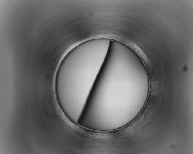 X0000098081036200804040746