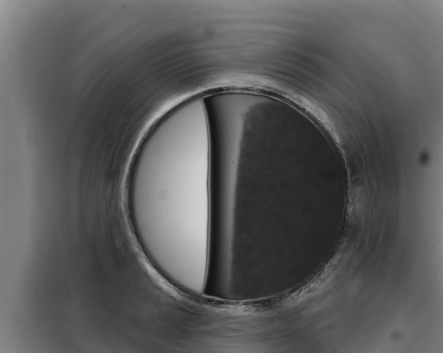 X0000098081037200804040746