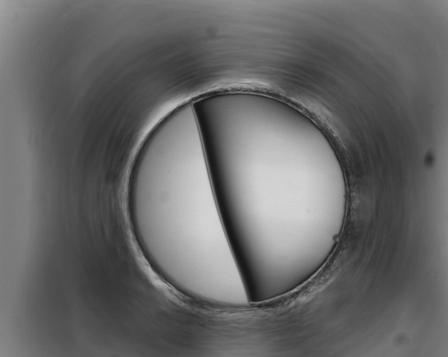 X0000098081038200804040746
