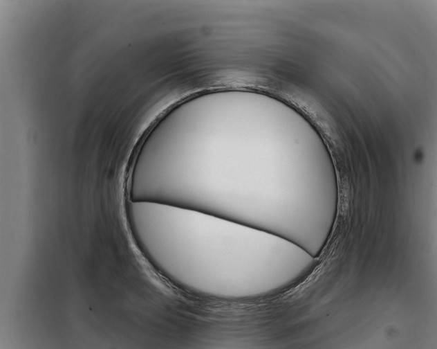 X0000098081039200804040747