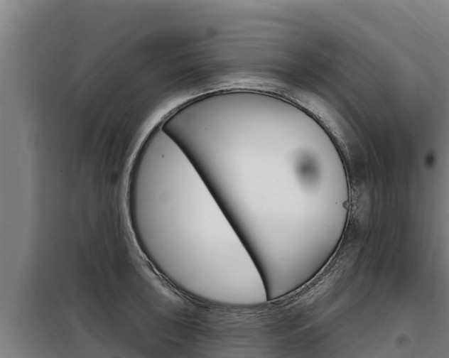 X0000098081043200804040747