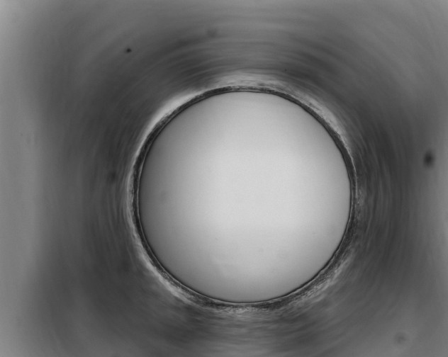 X0000098081045200804040747
