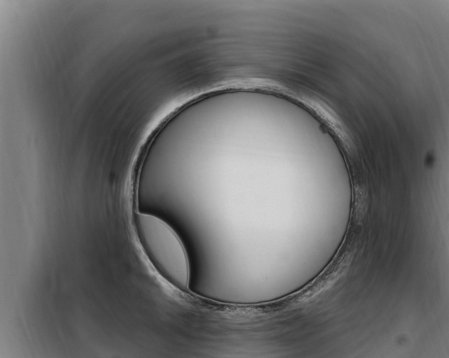 X0000098081046200804040747