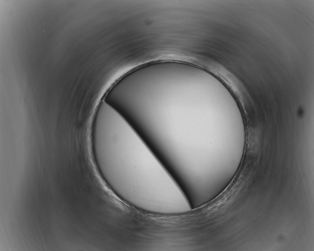 X0000098081048200804040747