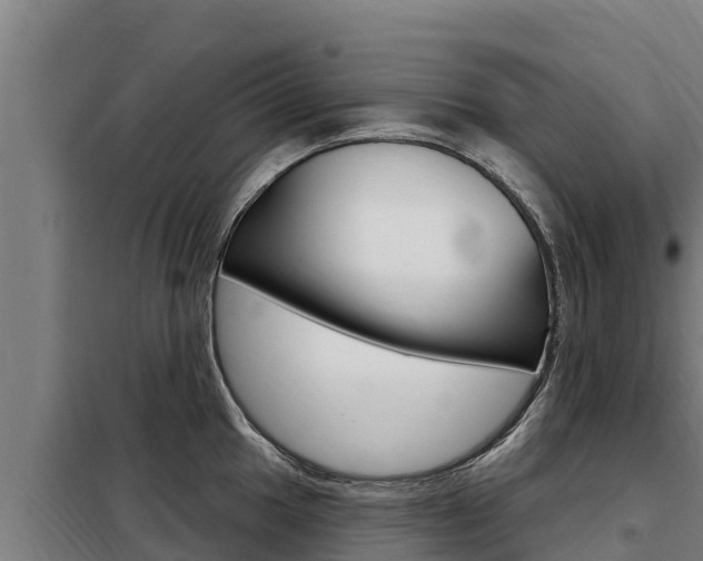 X0000098081049200804040747