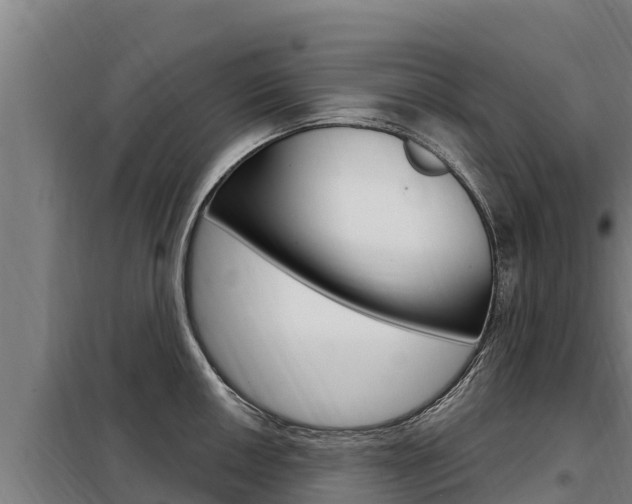 X0000098081050200804040747