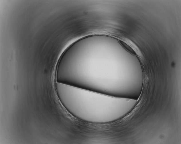 X0000098081052200804040747