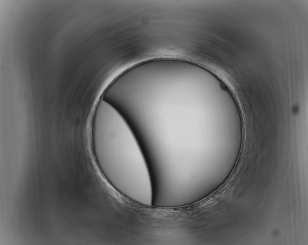X0000098081056200804040747