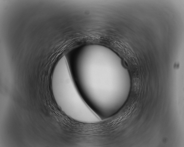X0000098081057200804040746