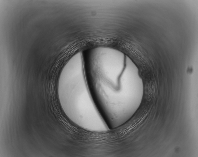 X0000098081058200804040746