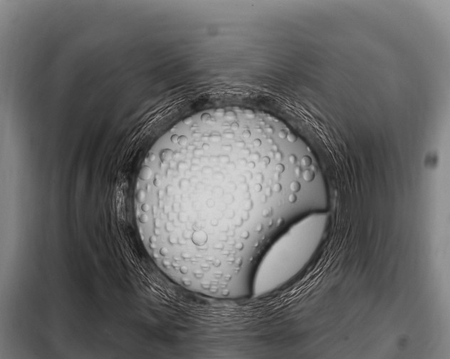 X0000098081059200804040746