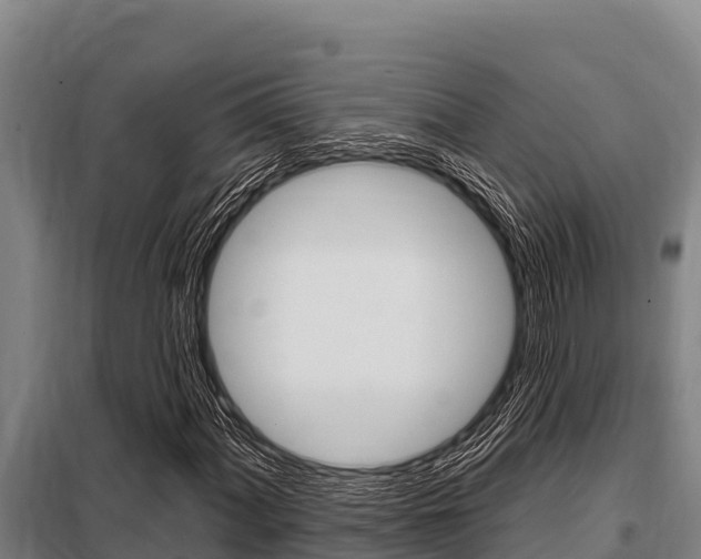 X0000098081060200804040746