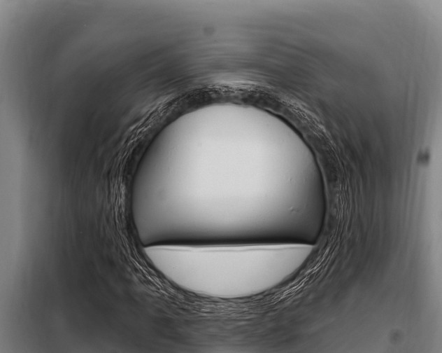 X0000098081061200804040746