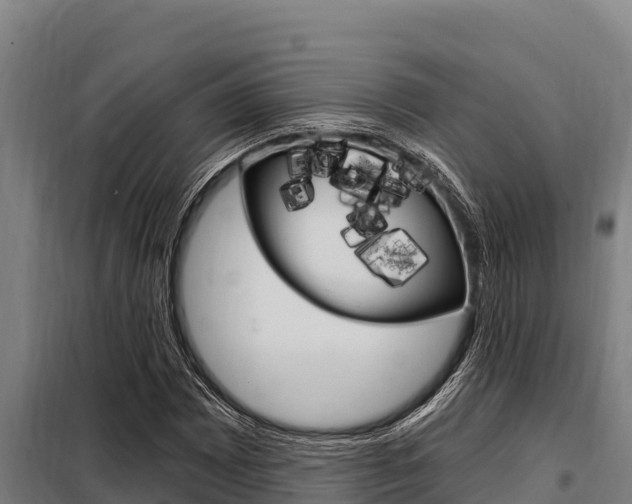 X0000098081065200804040746