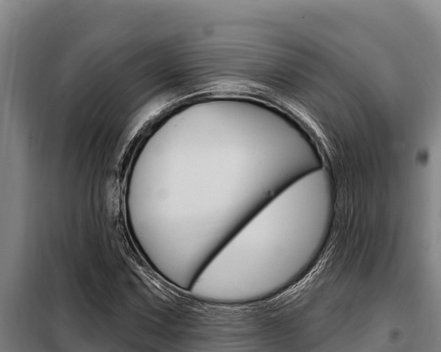 X0000098081067200804040746
