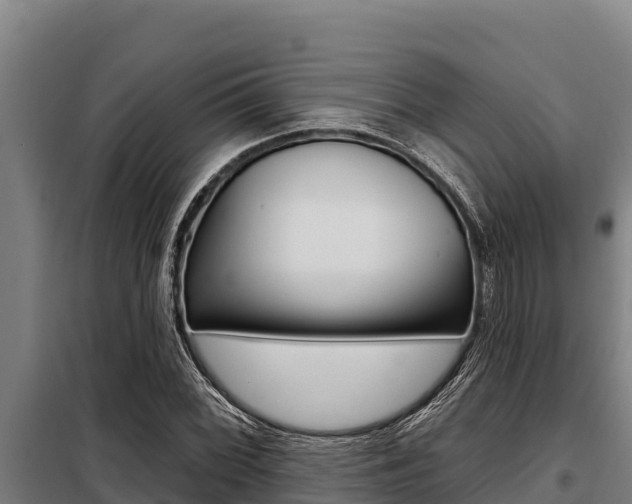 X0000098081068200804040746