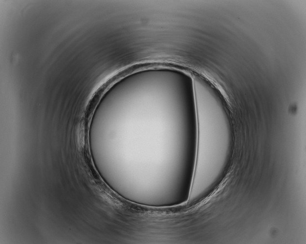 X0000098081069200804040746