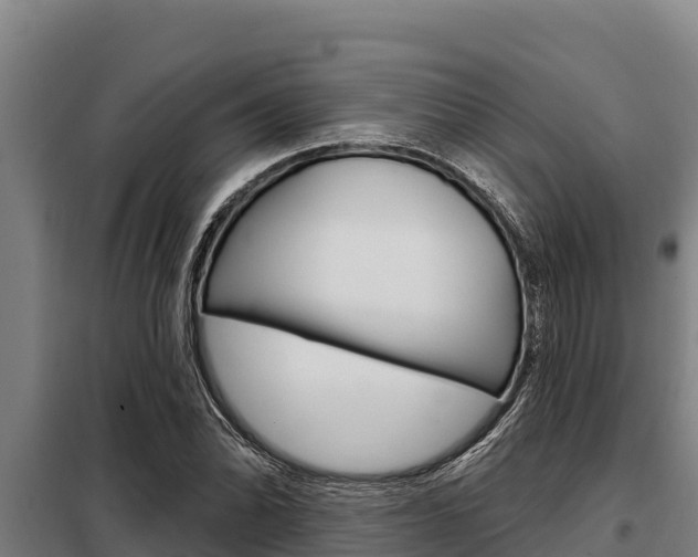 X0000098081070200804040746