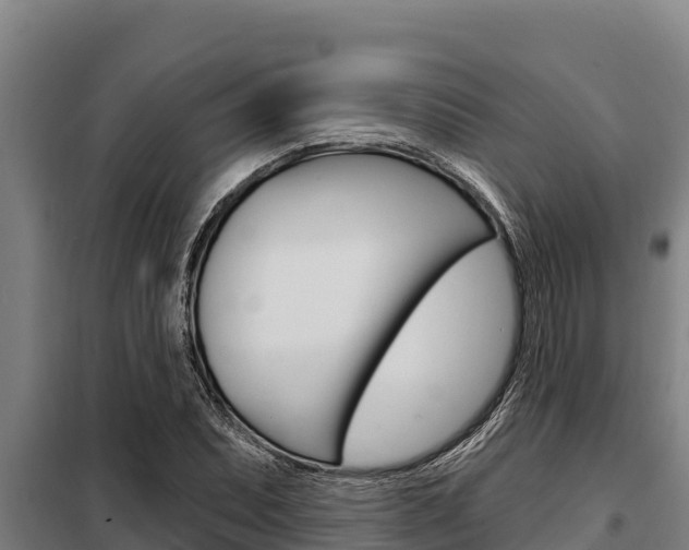 X0000098081071200804040746